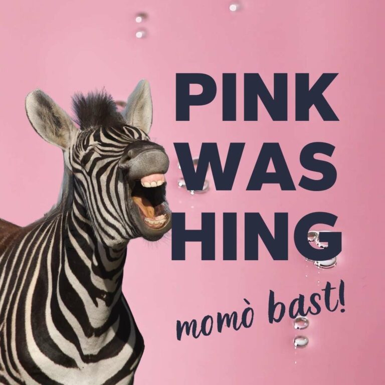 blog-pinkwashing-momosocial-come evitarlo